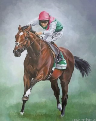 Horse Race Painting By Numbers.png