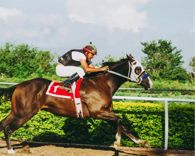 Horse Racing Sport Painting By Numberss.png