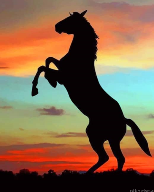 Horse Silhouette Animals Painting By Numberss.png