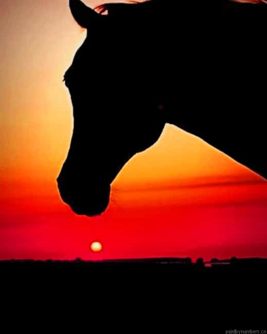 Horse Silhouette At Sunset Animals Painting By Numberss.png