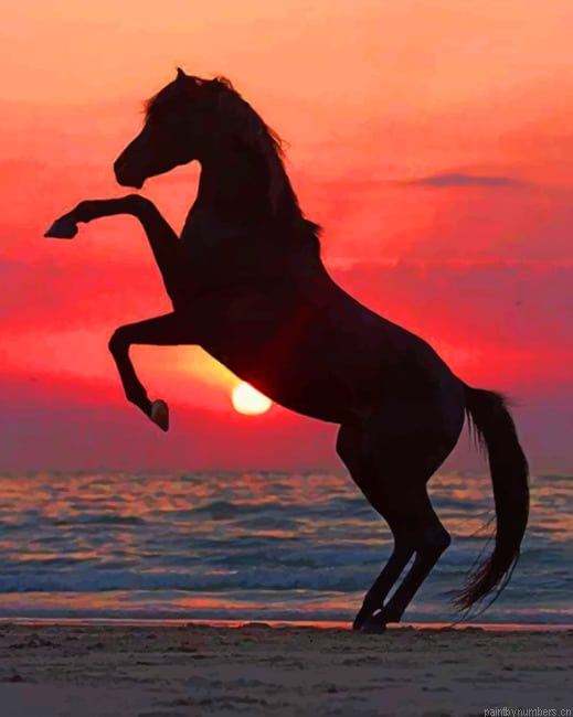 Horse Silhouette In The Beach Animals Painting By Numberss.png