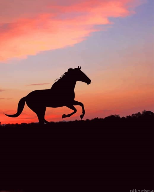Horse Silhouette Sunset Animals Painting By Numbers.png