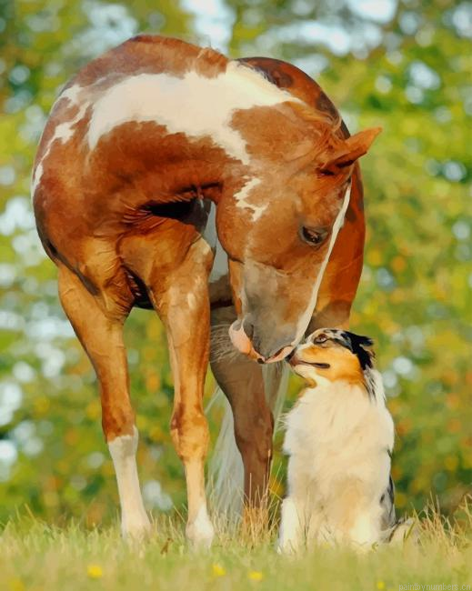 Horse With Dog Animals Painting By Numberss.png