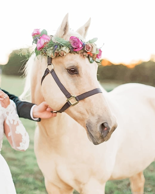 Horse With Flowers Crown Painting By Numberss.png