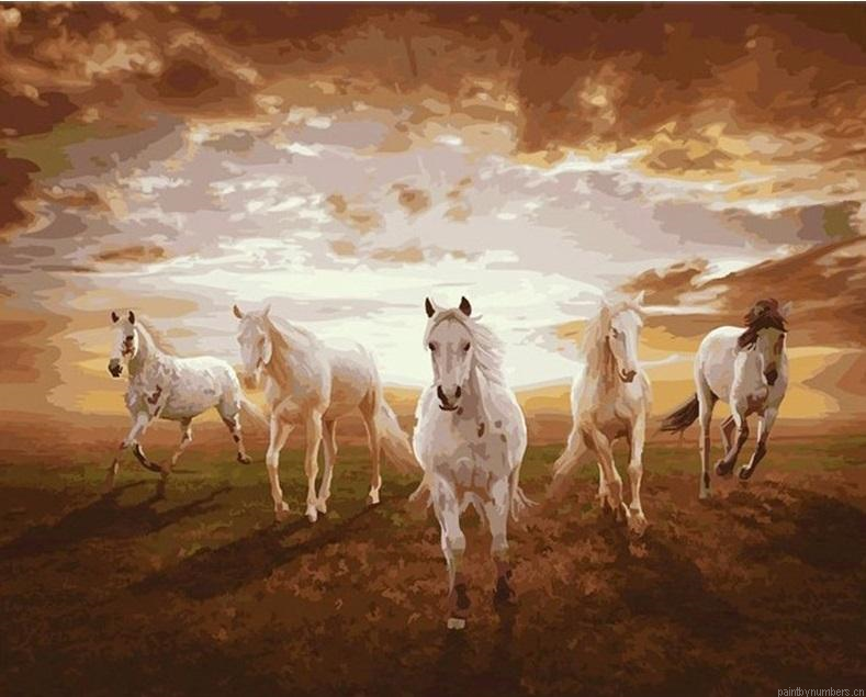 Horses Galloping On Sunset Painting By Numbers.png