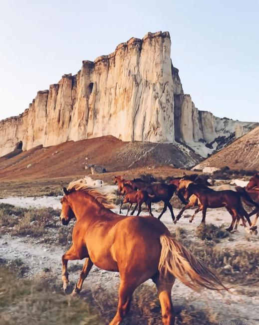 Horses In Desert Animals Painting By Numberss.png