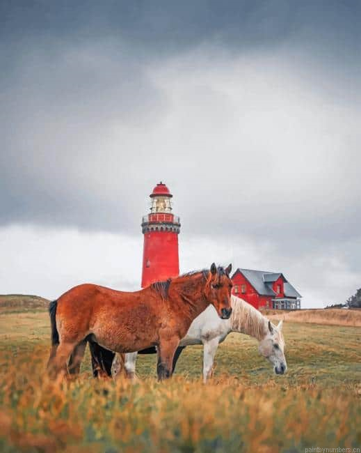 Horses Near To Bovbjerg Lighthouse Animals Painting By Numberss.png