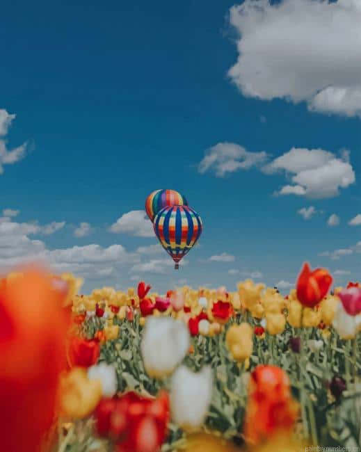Hot Air Balloon In Nature Painting By Numberss.png