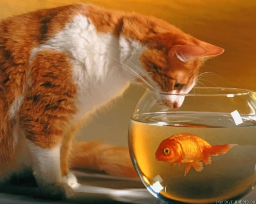 House Cat And Fish Animals Painting By Numberss.png