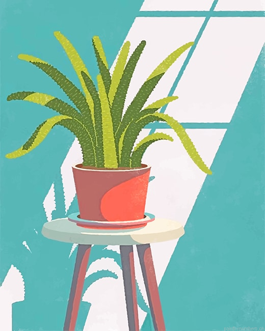 House Plant Painting By Numberss.png