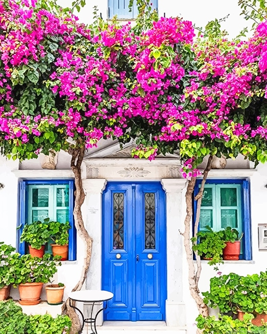 House With Flowers Painting By Numberss.png