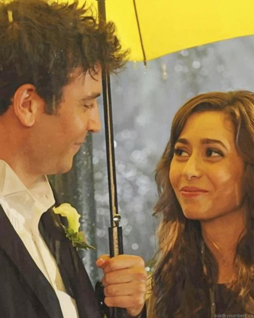 How I Met Your Mother Ted Mosby And Tracy Painting By Numberss.png