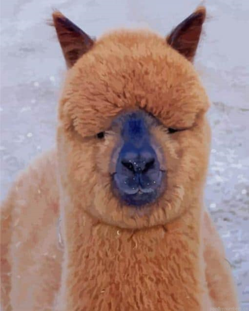 Huacaya Alpaca Breed Painting By Numbers.png