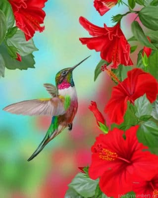 Hummingbird And Flowers Birds Painting By Numbers.png