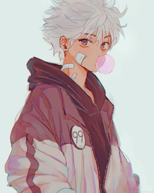 Hunter X Hunter Killua Animations Painting By Numberss.png