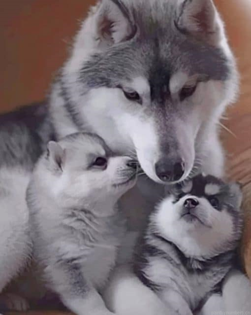 Husky Family Animals Painting By Numbers.png
