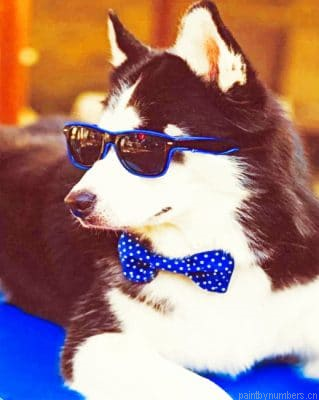 Husky With Sunglasses Animals Painting By Numbers.png