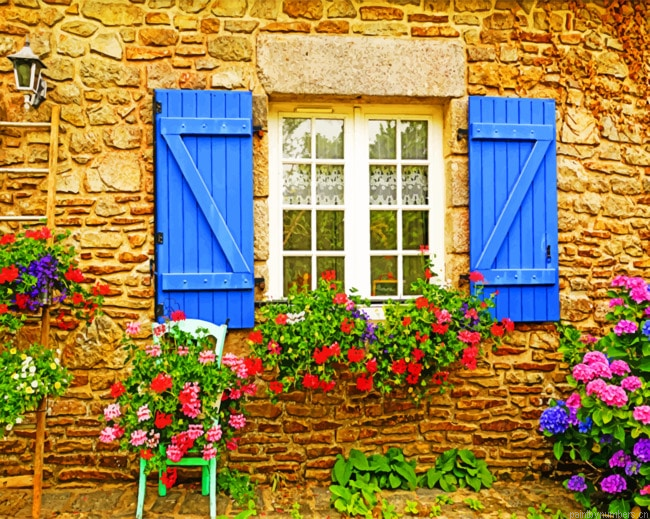 Hydrangea Flowers Painting By Numberss.png