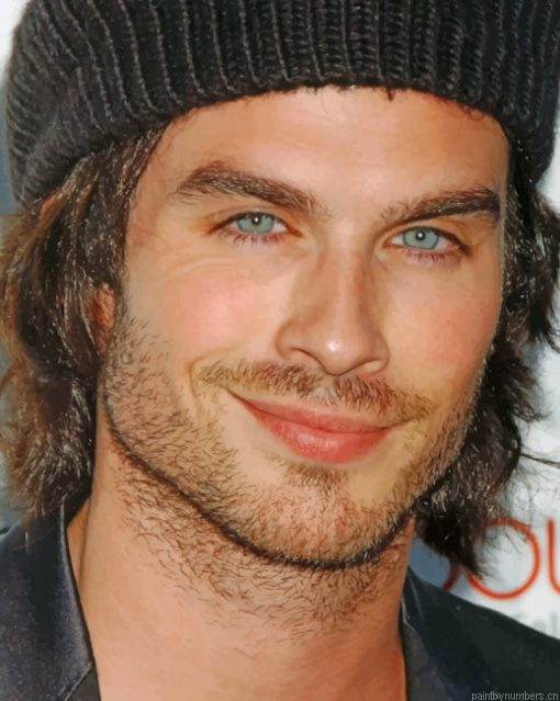 Ian Joseph Somerhalde Painting By Numbers.png