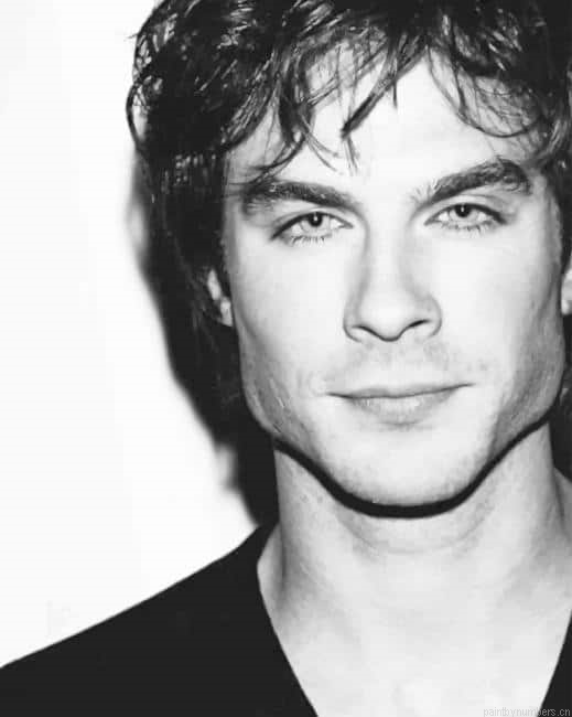 Ian Somerhalder Actors Painting By Numberss.png