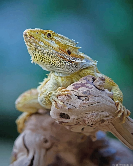 Iguana Reptile Painting By Numberss.png