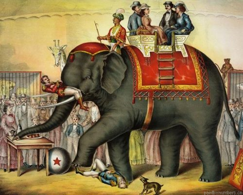 Indian Circus Elephant Painting By Numbers.png