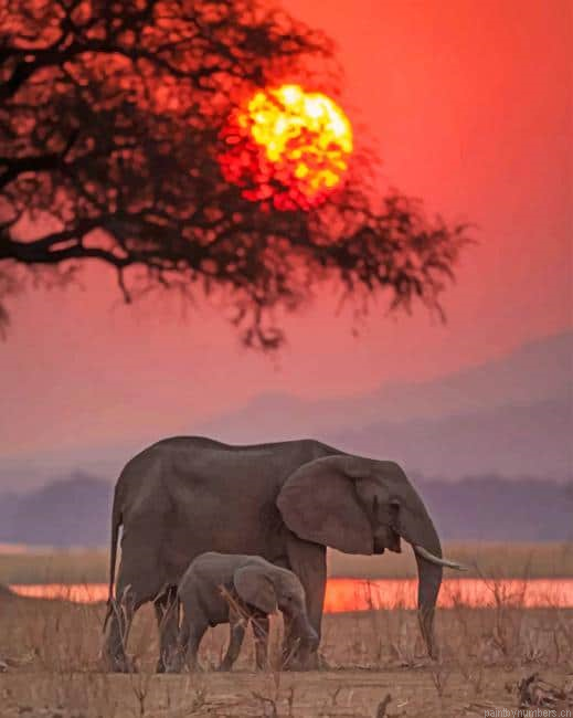 Indian Elephants Sunset Animals Painting By Numberss.png