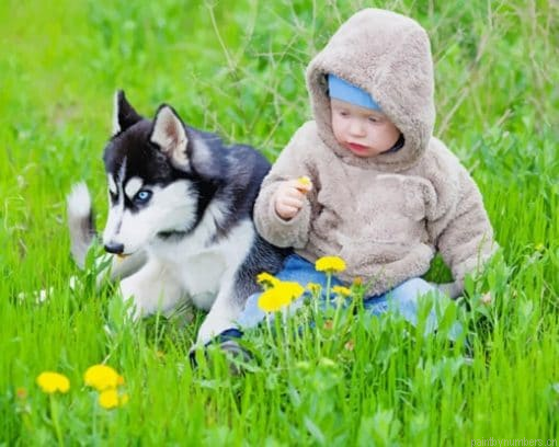 Infant And Husky Animals Painting By Numbers.png