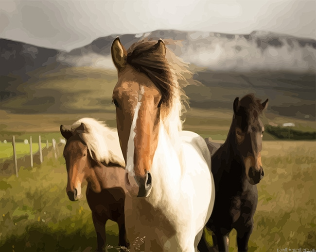 Island Horse Animals Painting By Numbers.png