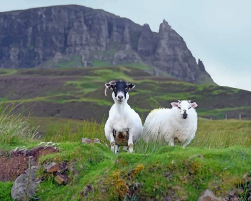 Isle Of Skye Painting By Numbers.png