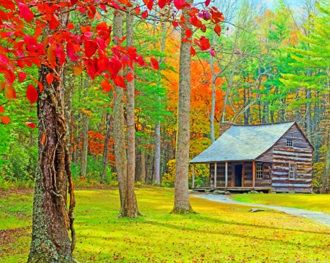 Isolated Wooden Cabin Landscapes Painting By Numbers.png