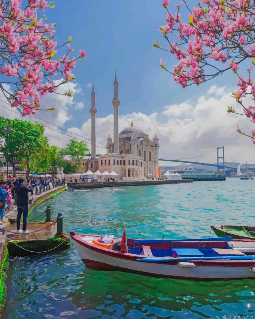 Istanbul In Turkey Cities Painting By Numberss.png