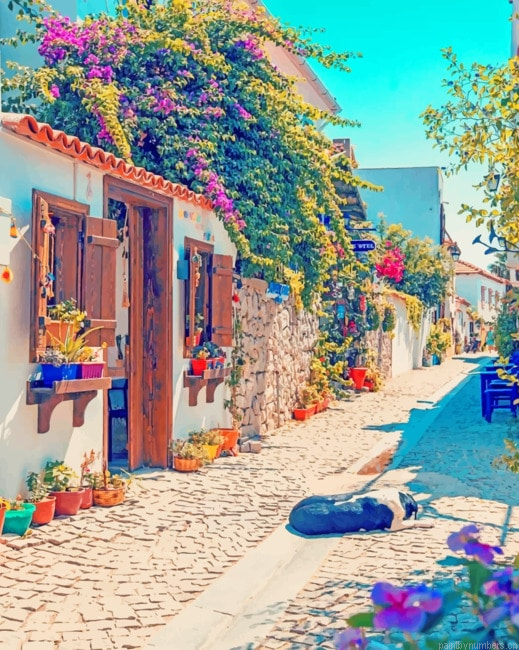 Izmir Street Turkey Cities Painting By Numberss.png