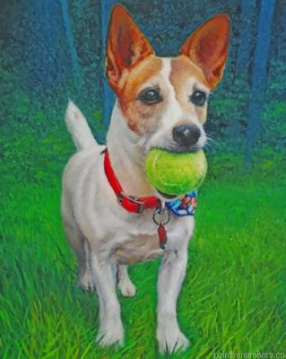 Jack Russell Carrying A Ball Painting By Numbers.png