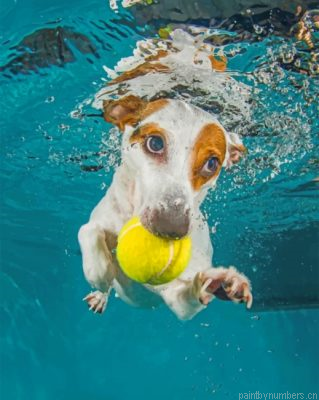 Jack Russell Underwater Painting By Numbers.png