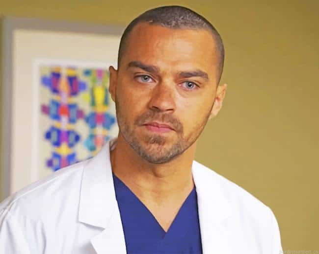 Jackson Greys Anatomy Actors Painting By Numbers.png