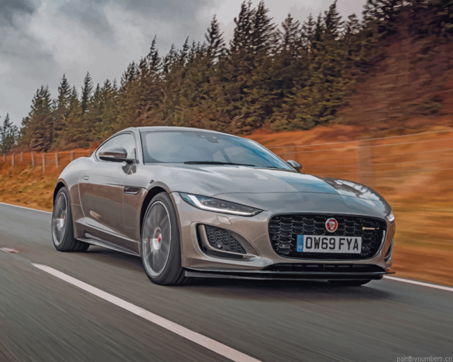 Jaguar Car Painting By Numbers.png