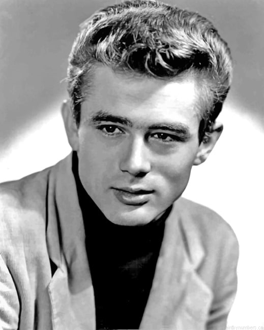 James Dean Painting By Numbers.png