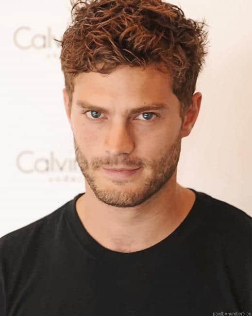 Jamie Dornan Actors Painting By Numberss.png