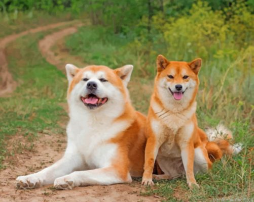 Japanese Akitas Painting By Numbers.png