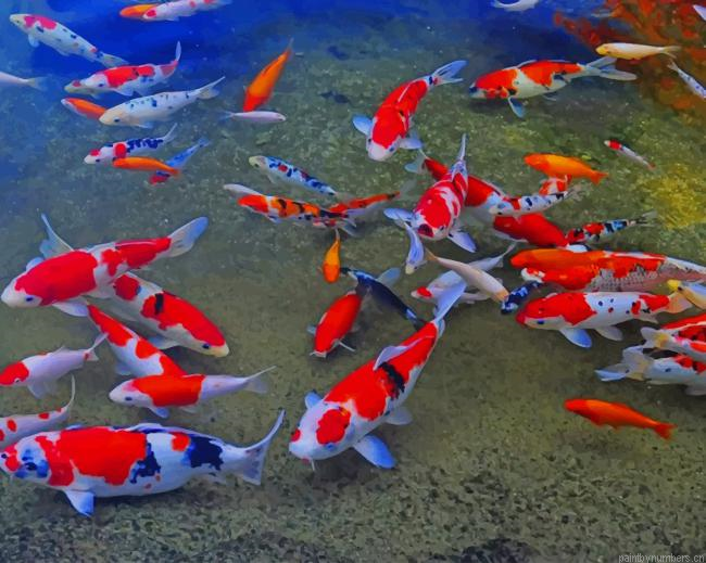 Japanese Koi Fish Painting By Numberss.png
