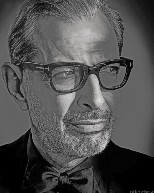 Jeff Goldblum Portrait Actors Painting By Numberss.png
