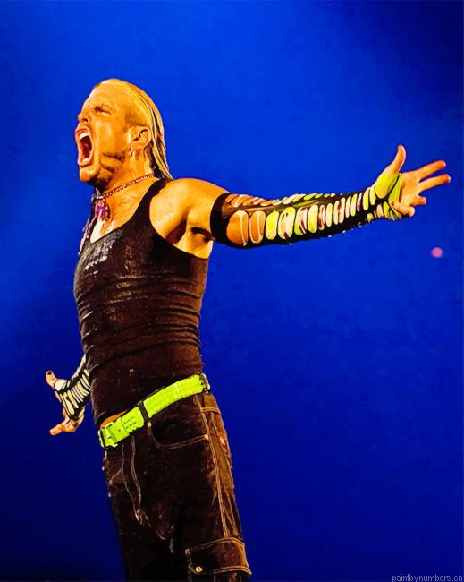 Jeff Hardy Wwe Champion Painting By Numberss.png