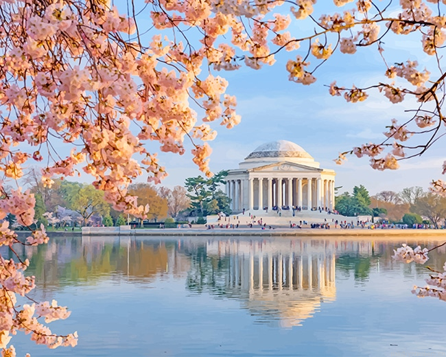 Jefferson Memorial In Cherry Blossom Painting By Numbers.png