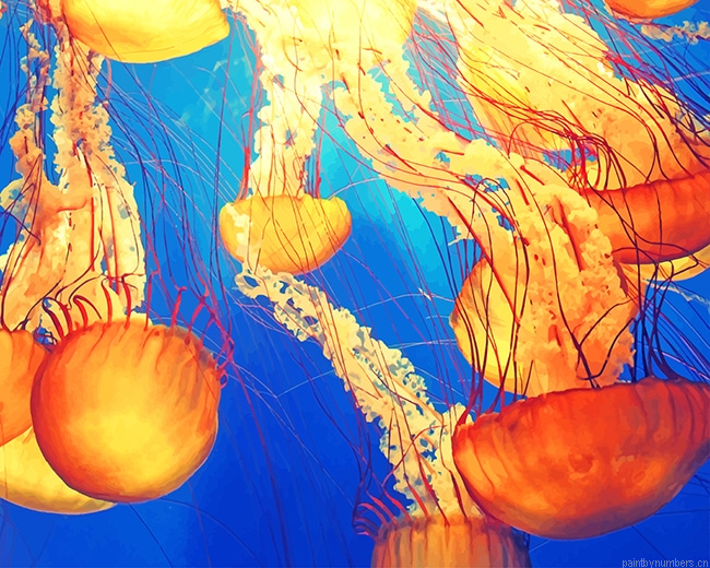 Jellyfish Illustration Painting By Numberss.png