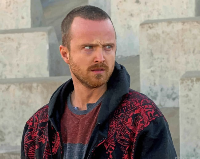 Jesse Pinkman Actors Painting By Numberss.png