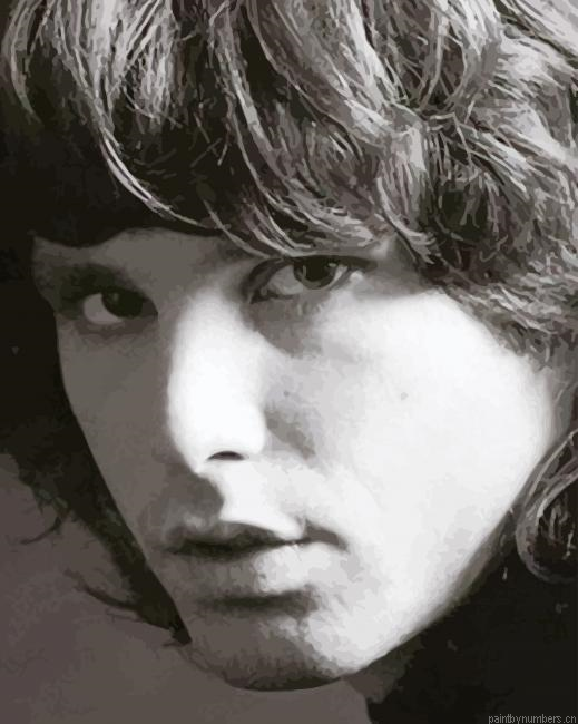 Jim Morrison The Doors Singers Painting By Numberss.png