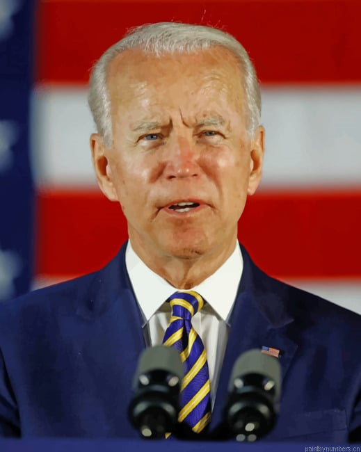 Joe Biden President Famous Painting By Numberss.png