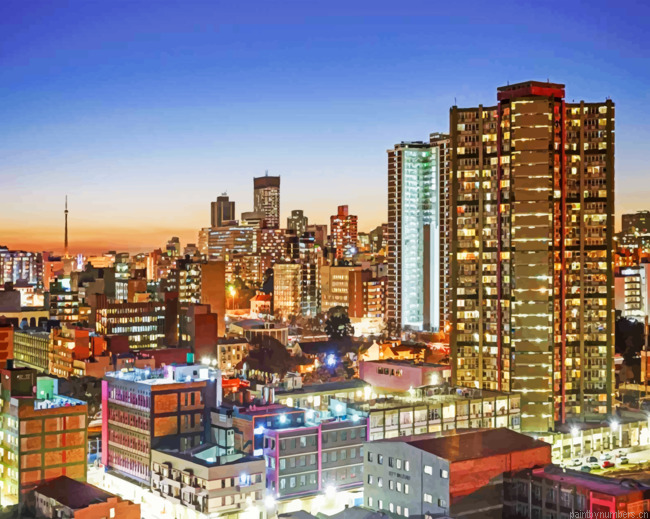 Johannesburg Africas Happiest City Painting By Numbers.png