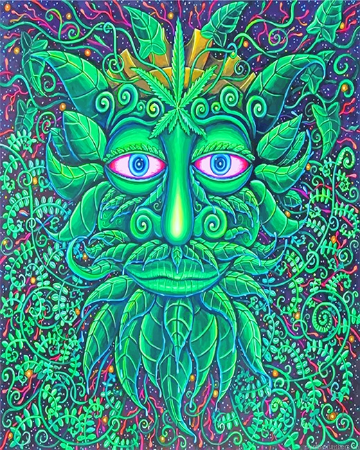 John Speaker Green Man Painting By Numbers.png